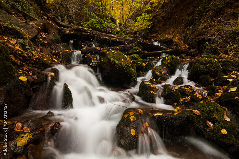 Obraz premium waterfall in forest