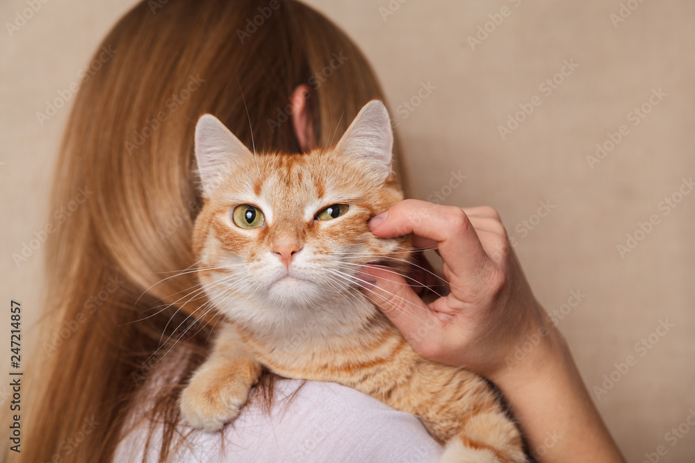 Happy ginger tabby cat on the woman's shoulder. Beautiful striped red cat on the shoulder blonde, beige background Happy ginger tabby cat on the woman's shoulder. Beautiful striped red cat on the shoulder blonde, beige background