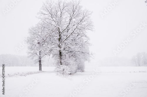 winter landscape in the countryside, snowy landscape