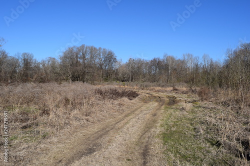 Meadow in Lee Tartt Nature Preserve in Grenada, Mississippi