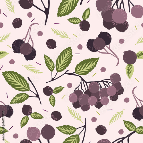 Realistic aronia berry vector illustration Seamless repeating pattern. Hand drawn black chokeberries, leaf. Juicy natural antioxidants. Nutritional superfruits background. Growing packaging design.