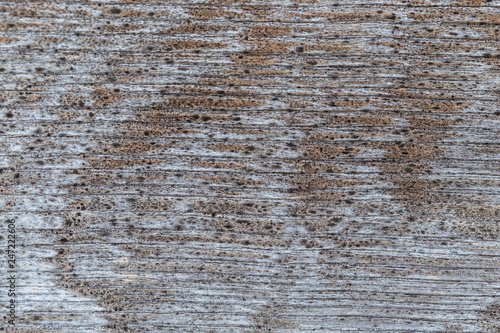 backgrounds, texture is very old wood in the process of prolonged natural decomposition and weathering. Very Old Wood Background, closeup. old and very aged wood texture close up 