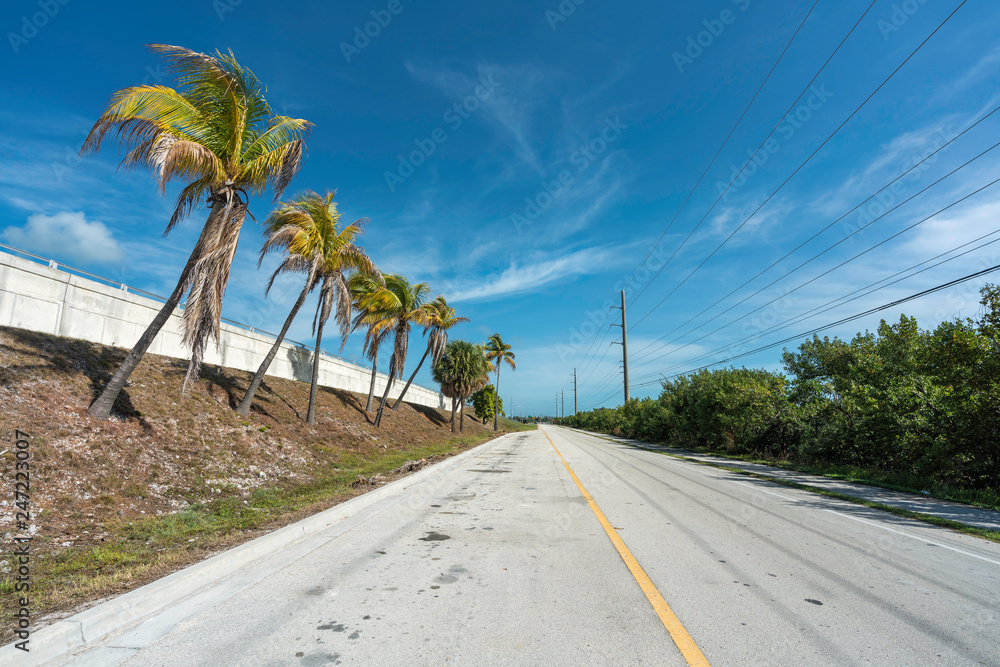 Road by the ocean with palms in South Florida