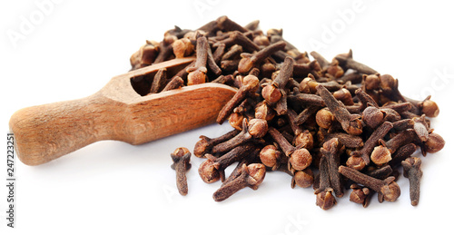 Wallpaper Mural Organic cloves Torontodigital.ca