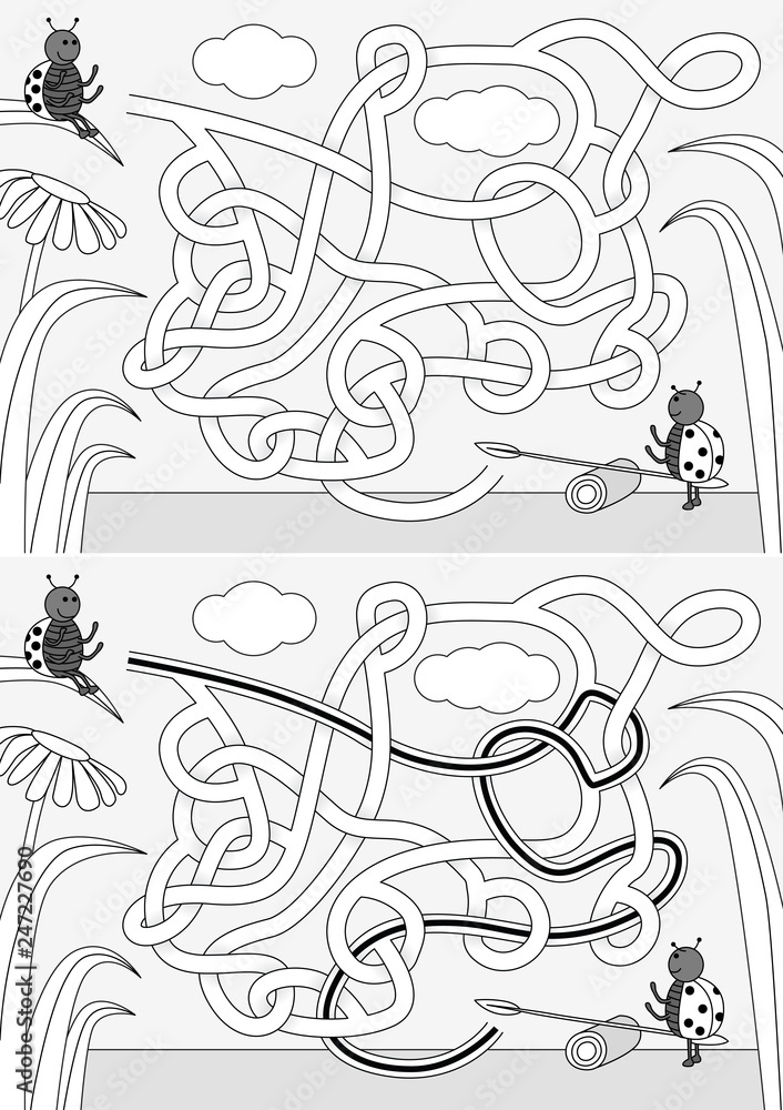 Ladybug maze Ladybug maze