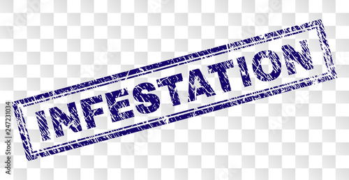 INFESTATION stamp seal imprint with rubber print style and double framed rectangle shape. Stamp is placed on a transparent background.