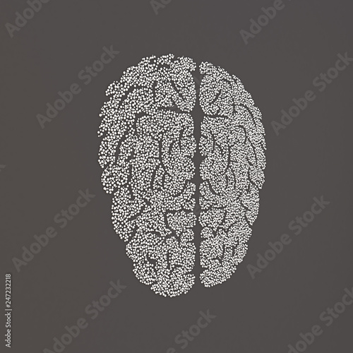 Fototapeta Naklejka Na Ścianę i Meble -  Brain illustration in black and silver colors.