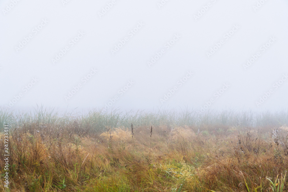Autumn fog over a meadow. Autumn landscape Autumn fog over a meadow. Autumn landscape