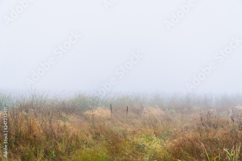 Autumn fog over a meadow. Autumn landscape