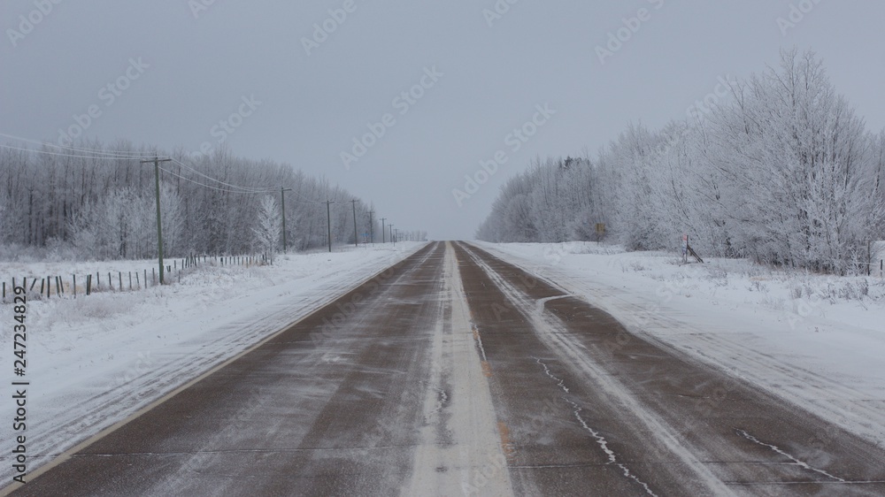 Fototapeta premium Road in the country leading into the horizon line