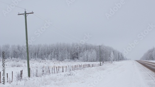Power lines running along road in Alberta Prairies © Calen