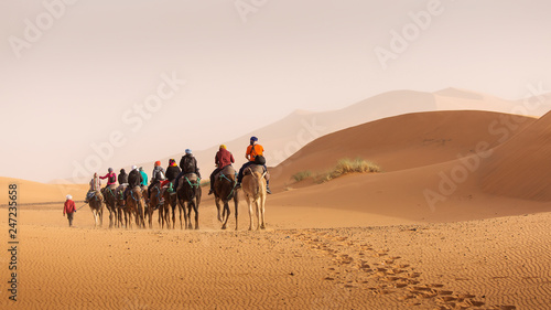 Camels caravan in the dessert of Sahara with beautiful dunes in background. Morocco