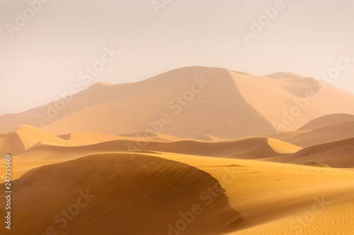 Desert Sahara with beautiful lines and colors at sunrise. Merzouga, Morocco © danmir12