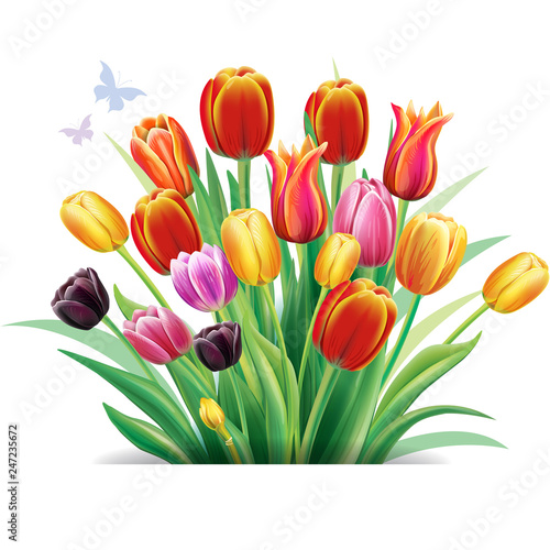 Arrangement with multicolor tulips flowers