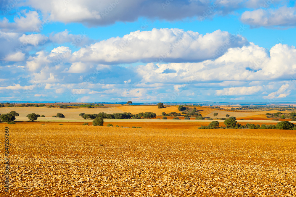 Landscape field hill Spain