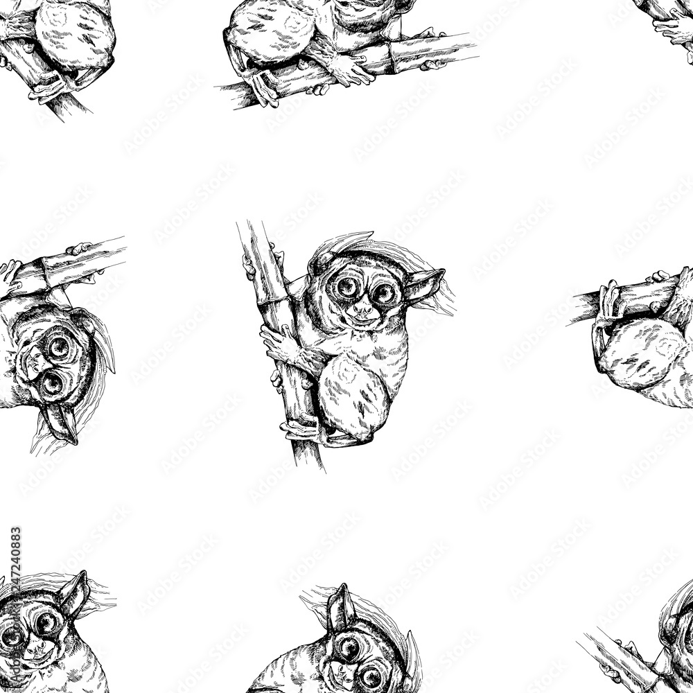 Seamless pattern of hand drawn sketch style Philippine tarsier isolated ...