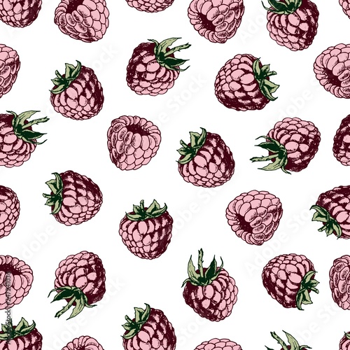 Seamless pattern with pink raspberries. Hand drawn vector on white background.