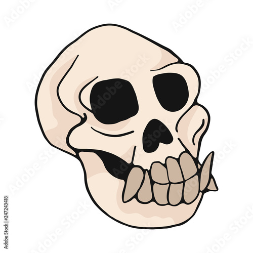 Animal monkey skull cartoon vector illustration motif set. Hand drawn isolated ape bone elements clipart for nature blog, natural history bone skeleton graphic, anatomy education web buttons.