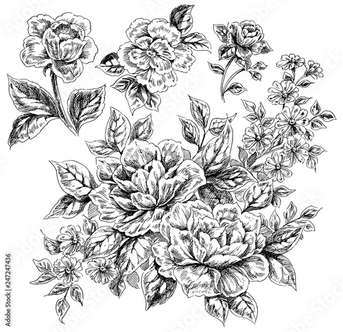 Fototapeta Naklejka Na Ścianę i Meble -  Hand drawn flowers and leaves