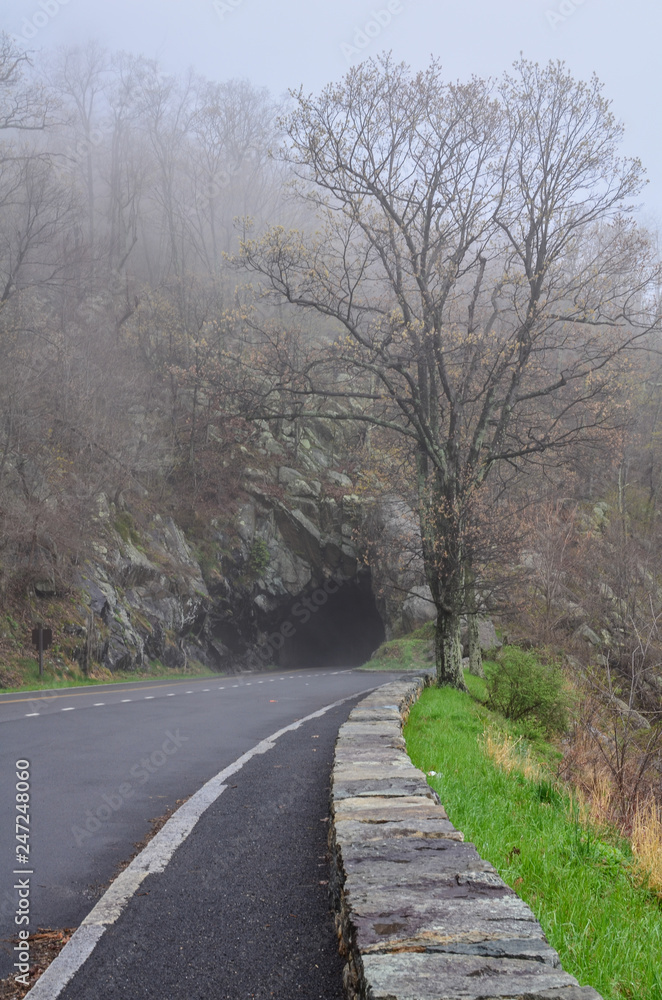 Fog encroaches upon Skyline drive and its bare trees in Shenandoah National Park in Skyline, Virginia in early spring. Poor visibility make driving conditions difficult on the twisty roads.