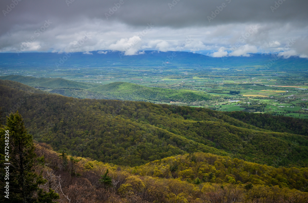 Overlook of the Blue Ridge Mountains valley below, along Skyline Drive in Shenandoah National Park in Virginia on a spring day