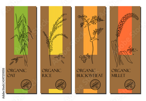 Vector set of cereal labels with grains and plants sketches: oat, rice, buckwheat and millet. Healthy food, bio, organic, natural product