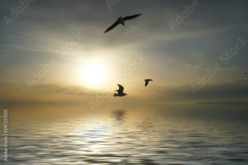 Seascape with seagulls flying over the water surface.