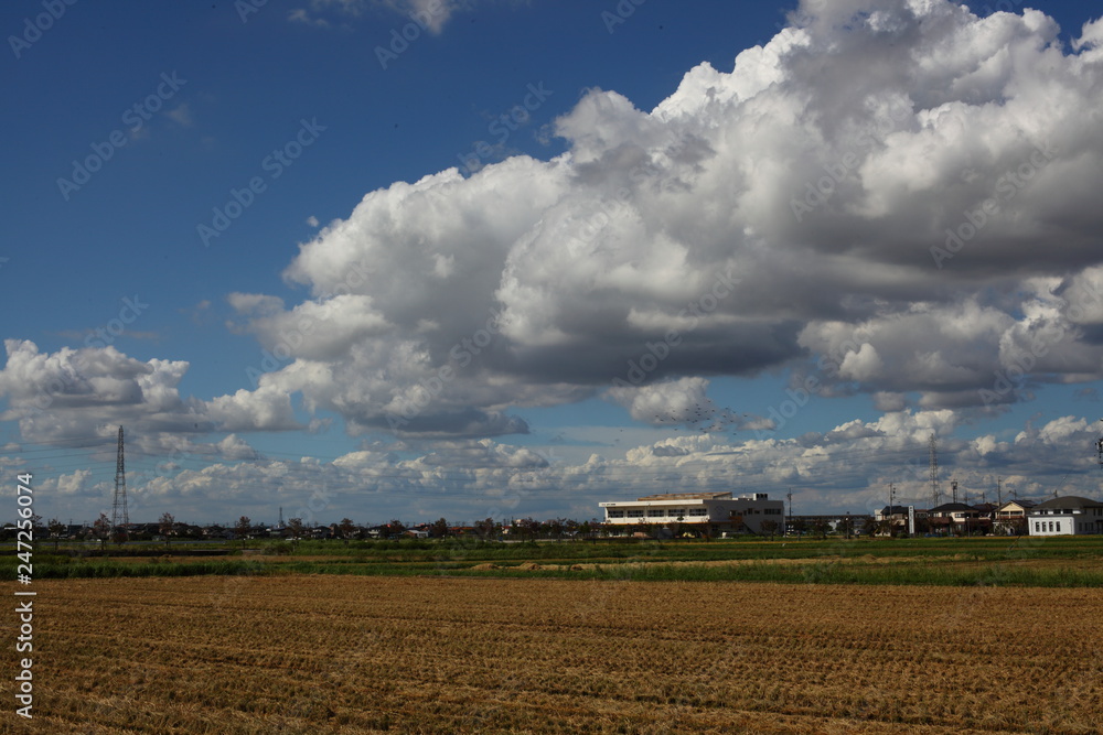 収穫後の麦畑と夏雲