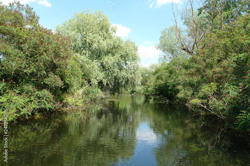 river lake spring nature