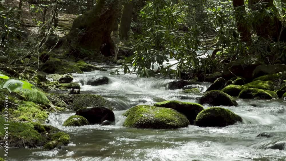 Anthony Creek - Great Smoky Mountains National Park - Time lapse Anthony Creek - Great Smoky Mountains National Park - Time lapse