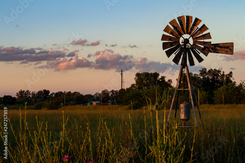 Windmill to extract water. Field of flowers during sunset.