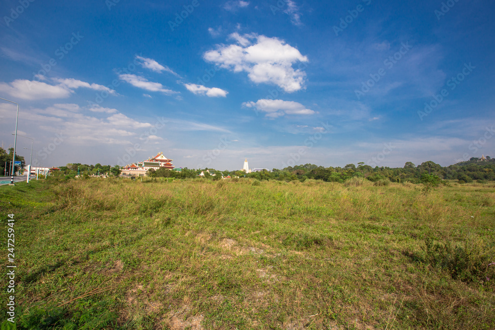 The background of the grass on the roadside and the bright blue sky, is a refreshing atmosphere of good weather. The background of the grass on the roadside and the bright blue sky, is a refreshing atmosphere of good weather.