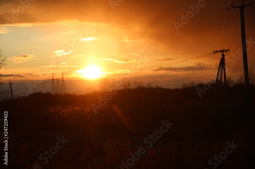 sunset in field
