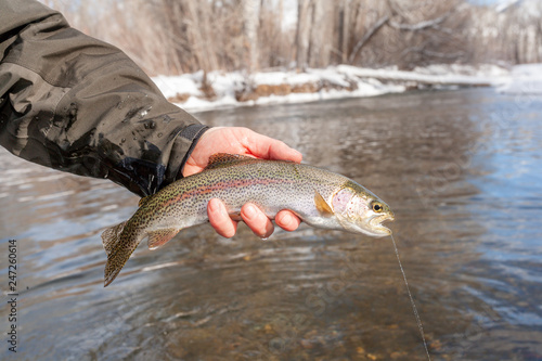 Fototapeta Naklejka Na Ścianę i Meble -  Winter Fly Fishing