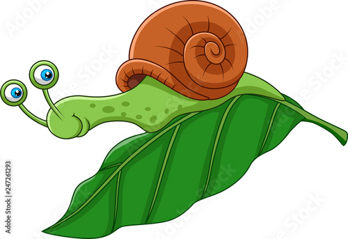 Cartoon funny snail on a leaf