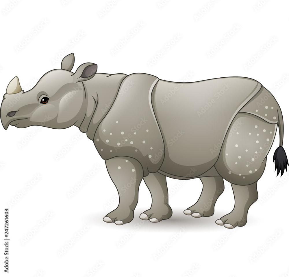 Fototapeta premium Cartoon Asian rhinoceros isolated on white background