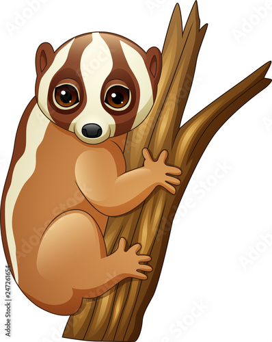 Cartoon slow loris on the branch 