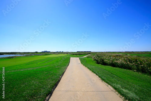 Golf courses and road vegetation
