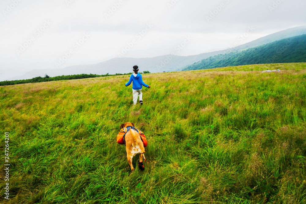 A girl and her dog enjoying the view of a high mountain bald along the Appalachian trail in early morning. A girl and her dog enjoying the view of a high mountain bald along the Appalachian trail in early morning.
