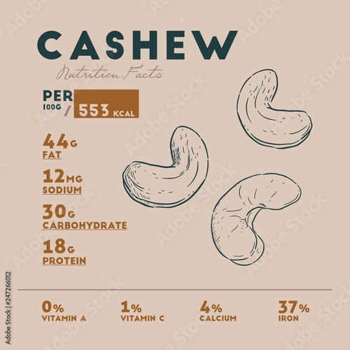 Nutrition facts of Cashew. Hand-drawn sketch - Vector
