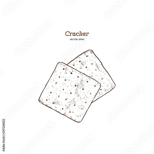 Cracker, Hand draw sketch vector.