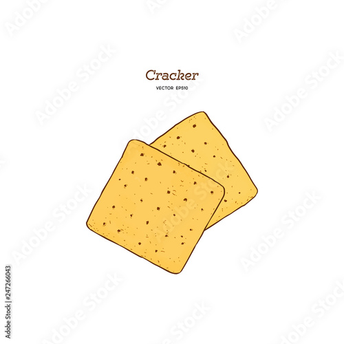 Cracker, Hand draw sketch vector.