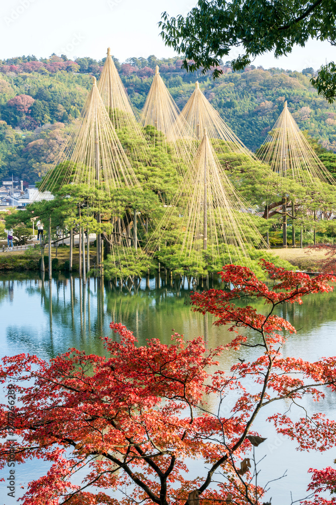秋の金沢旅行 紅葉の兼六園 霞ヶ池と唐崎松 Stock Photo Adobe Stock 秋の金沢旅行 紅葉の兼六園 霞ヶ池と唐崎松 Stock Photo Adobe Stock
