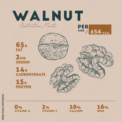 Nutrition fact of walnut illustration of hands, retro style, vector .