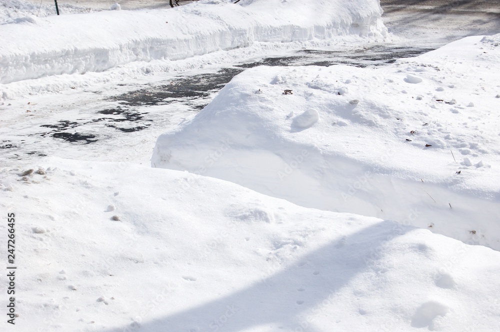 Obraz premium Snow Covered Yard with Shoveled Path and Driveway after a Snowstorm 