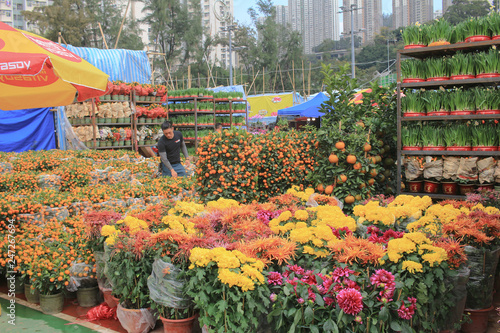 Photography Lunar new year fair at kwun tong