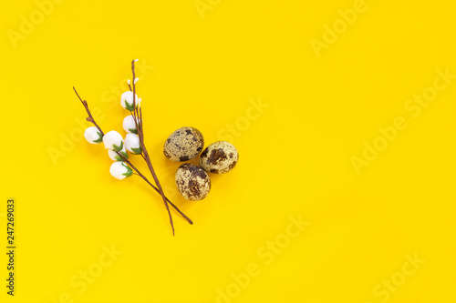 quail eggs and decorative willow branch on yellow paper background in minimal style. Easter concept. Template Creative Flat lay Top view Copy space lettering, text or your design © IRINA