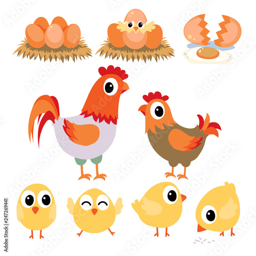 chicken vector character design