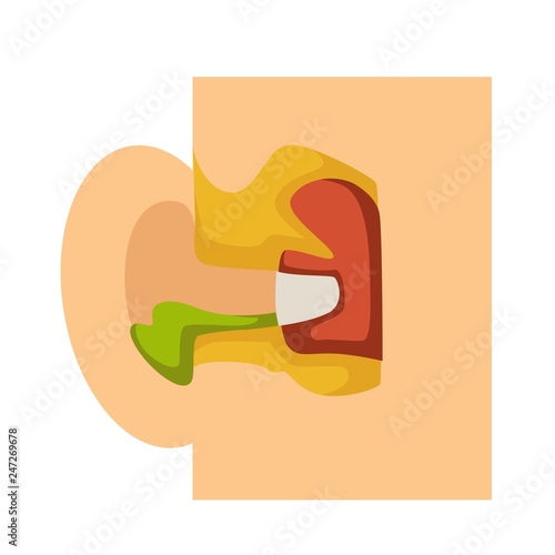 Otitis ear anatomy pus infectional disease medicine