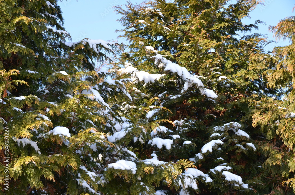 Snow melting forest Google 翻訳で開く フィードバック ウェブ検索結果 Google 翻訳 https://translate.google.co.jp/?hl=ja Google の無料サービスなら、単語、フレーズ、ウェブページを英語から 100 以上の他言語にすぐに翻訳できます。 Weblio 翻訳 https://translate.weblio.jp/ Web Snow melting forest Google 翻訳で開く フィードバック ウェブ検索結果 Google 翻訳 https://translate.google.co.jp/?hl=ja Google の無料サービスなら、単語、フレーズ、ウェブページを英語から 100 以上の他言語にすぐに翻訳できます。 Weblio 翻訳 https://translate.weblio.jp/ Web